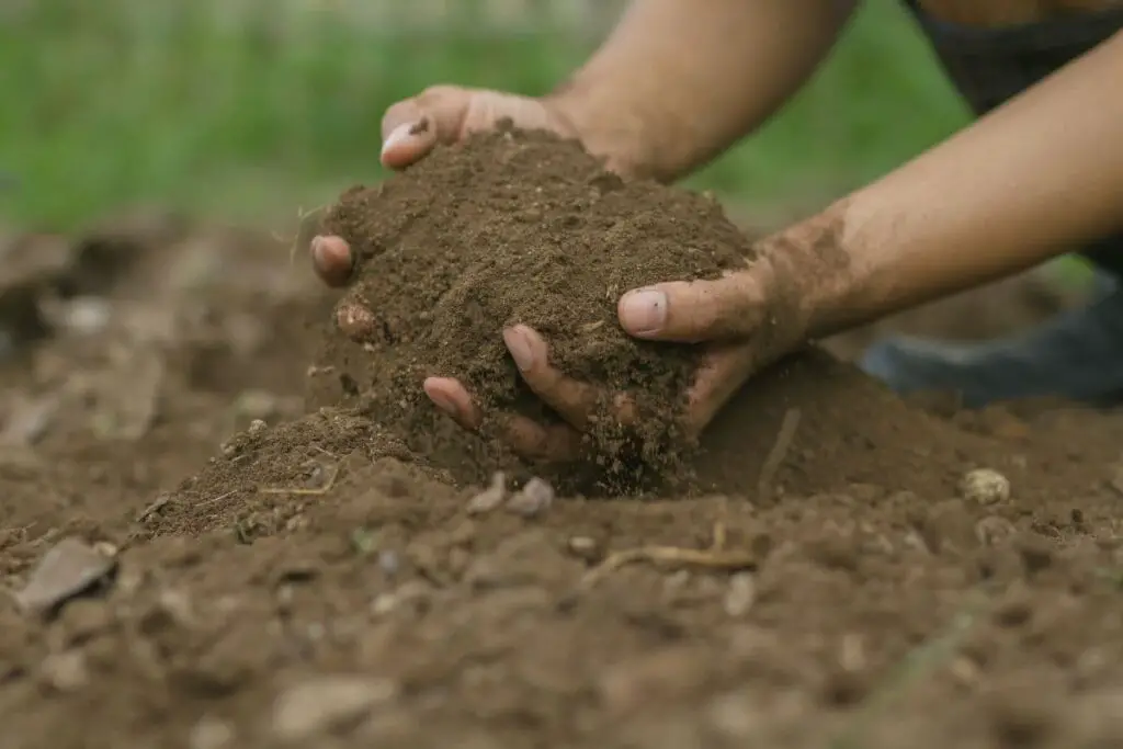 hands working in topsoil