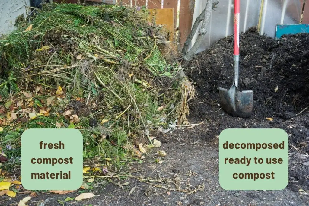 fresh compost material pile next to a decomposed ready to use compost pile