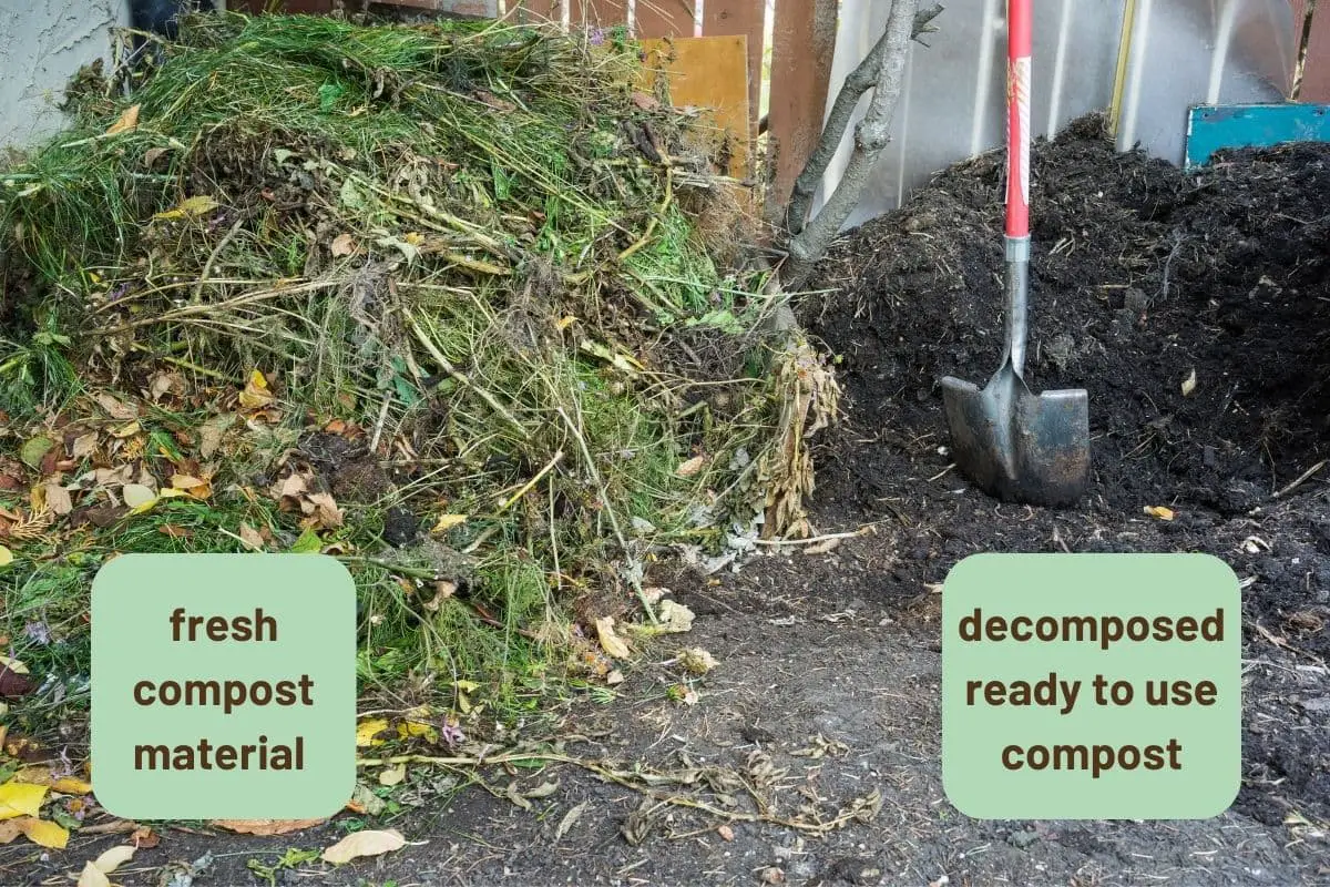 When Should I Dig In Compost at Henry Cartwright blog