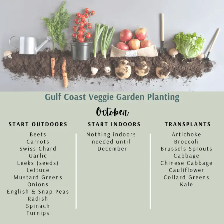 Gulf Coast October Planting Learn to Live Small