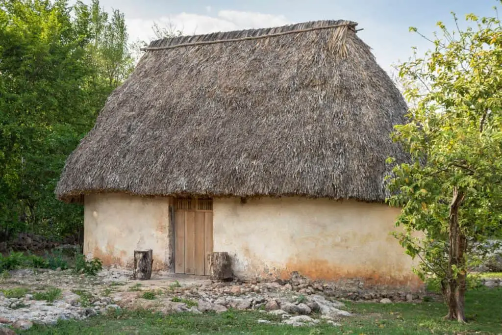 cob house with natural roof